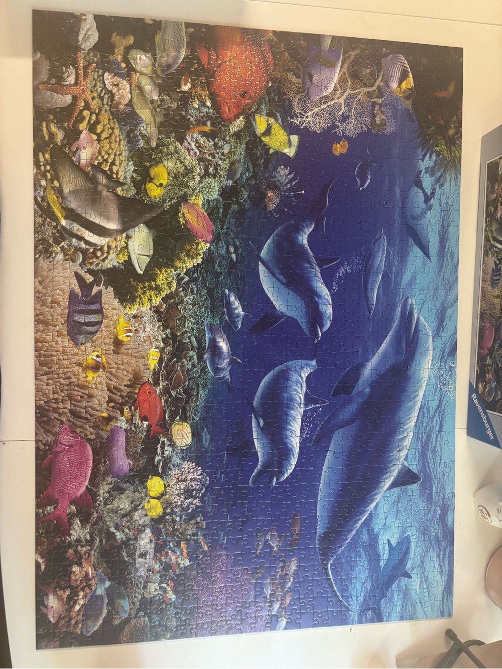 Ravensburger Ocean Dolphins Sea Life Puzzle - 1000 pieces, complete!